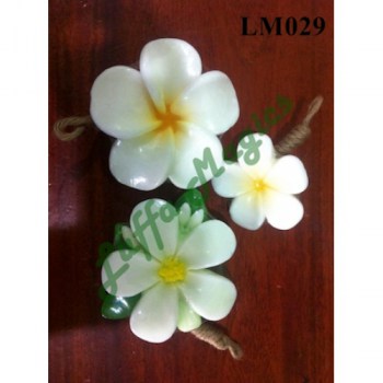 LM029-500x500